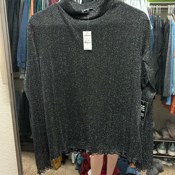 Express Tops - Brand new express long sleeve shimmer blouse